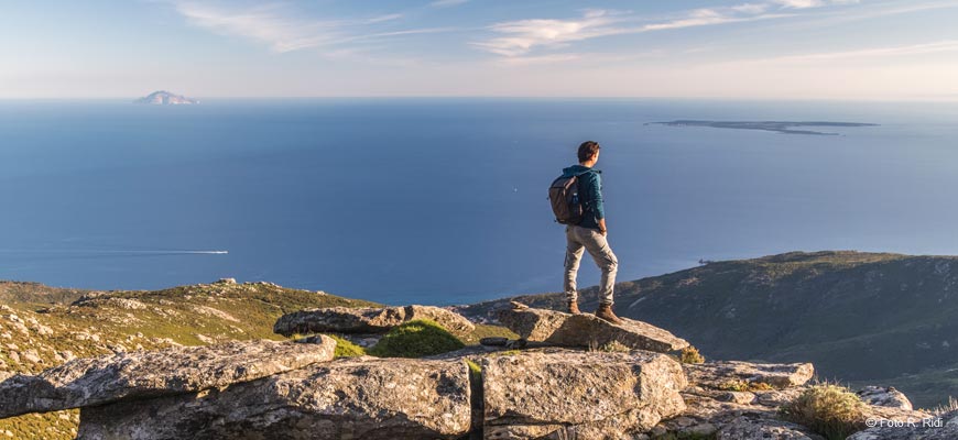 Seccheto, Elba